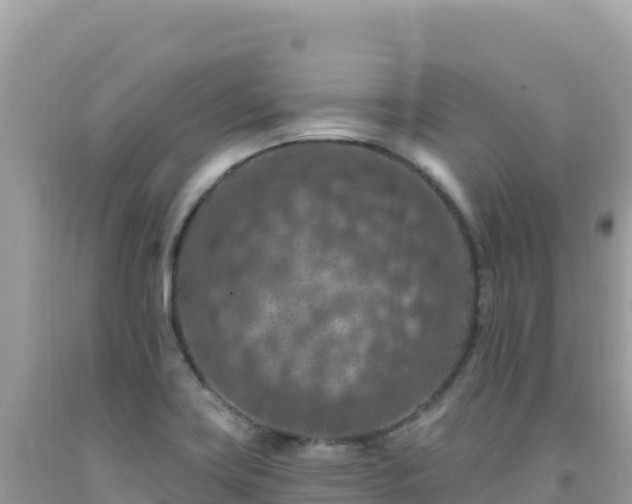 X0000092031419200709131610