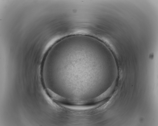 X0000092031422200709131610