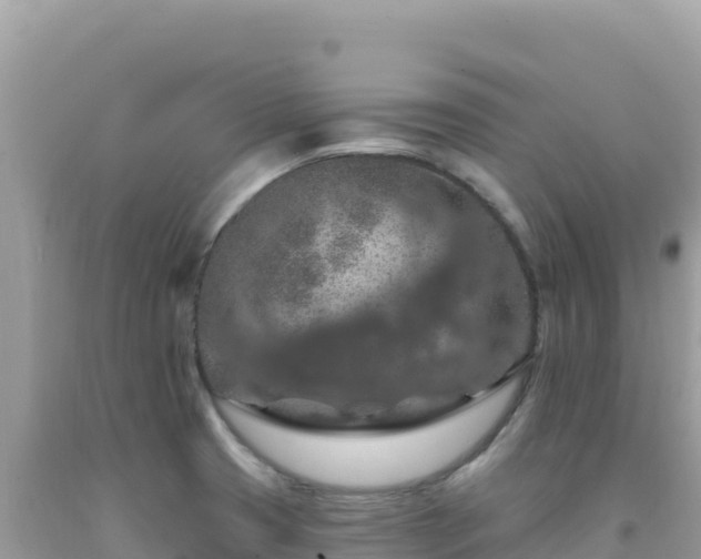 X0000092031425200709131610