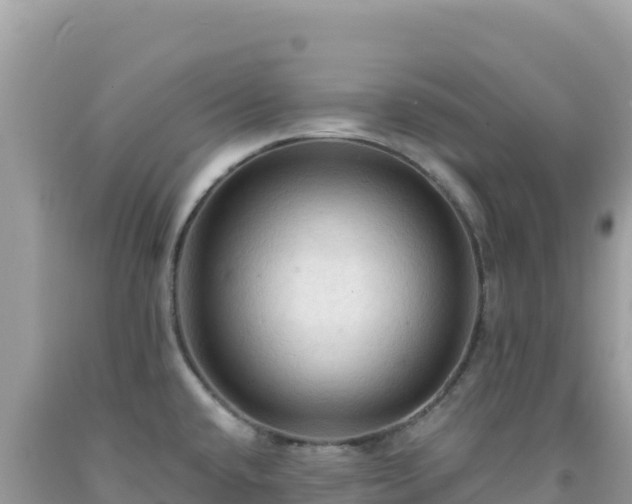 X0000092031432200709131610