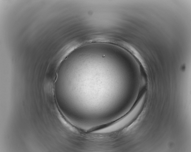 X0000092031433200709131610