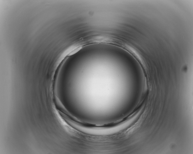 X0000092031434200709131610