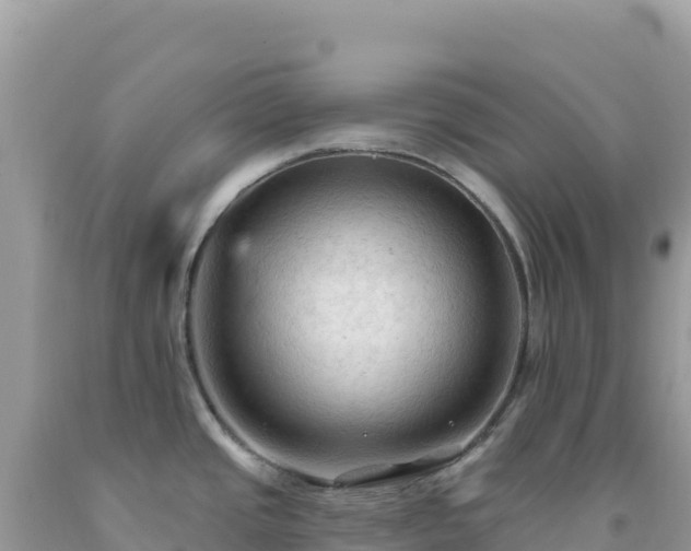 X0000092031437200709131610