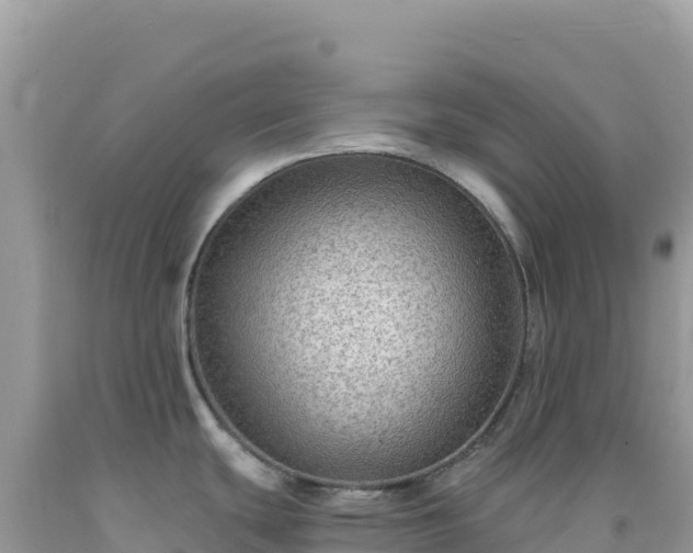 X0000092031439200709131610