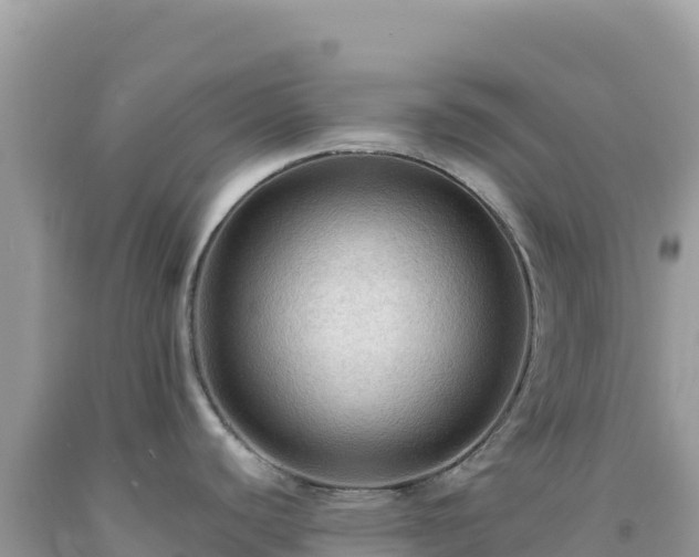 X0000092031440200709131610