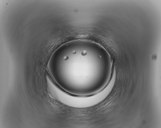 X0000092031441200709131609