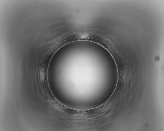 X0000092031442200709131609