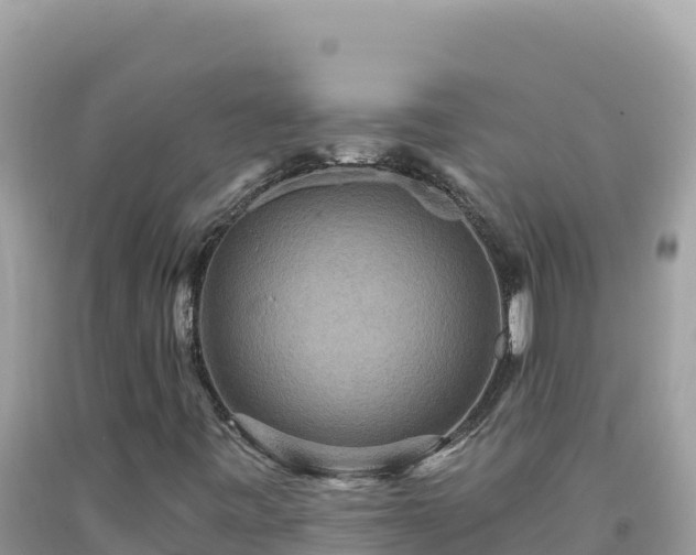 X0000092031443200709131609