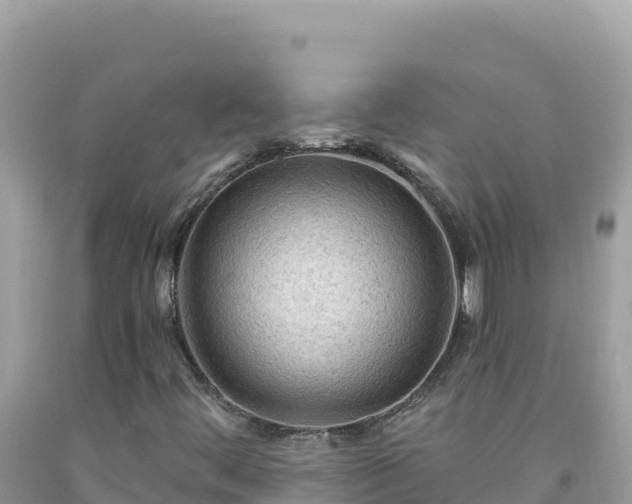 X0000092031444200709131609