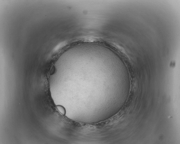 X0000092031446200709131609