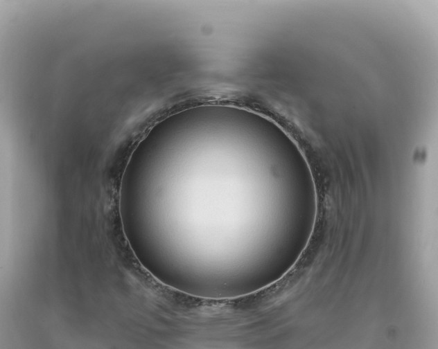 X0000092031447200709131609