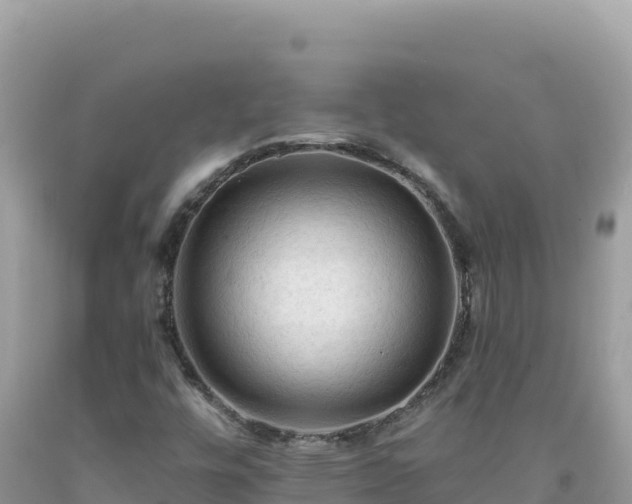 X0000092031448200709131609
