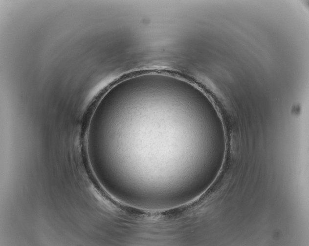 X0000092031452200709131609