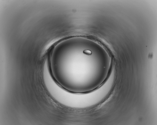 X0000092031453200709131609