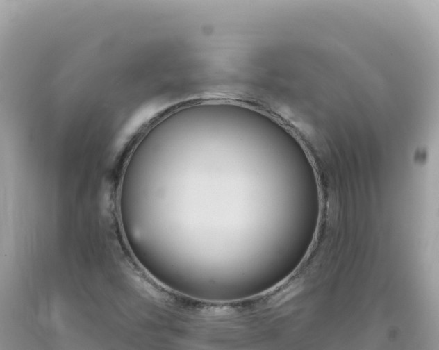 X0000092031454200709131609