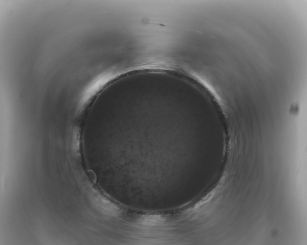 X0000092031455200709131609