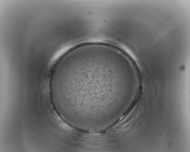 X0000092031456200709131609