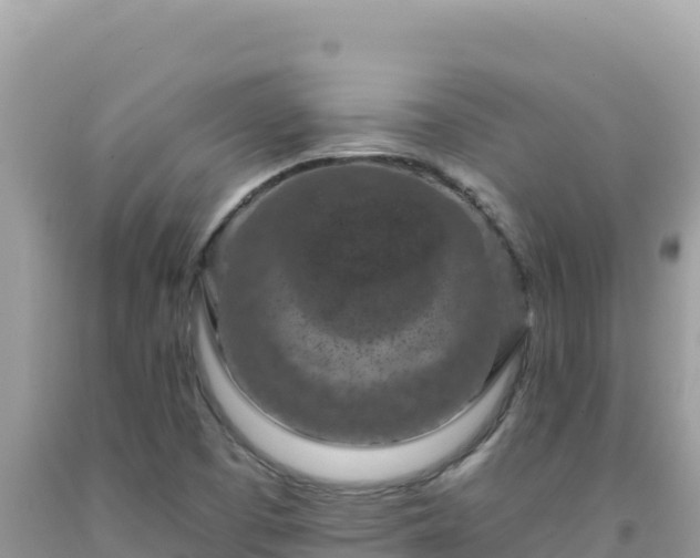 X0000092031457200709131609