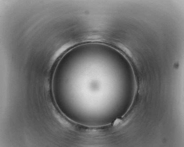 X0000092031458200709131609
