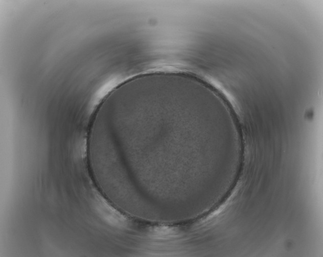 X0000092031459200709131609