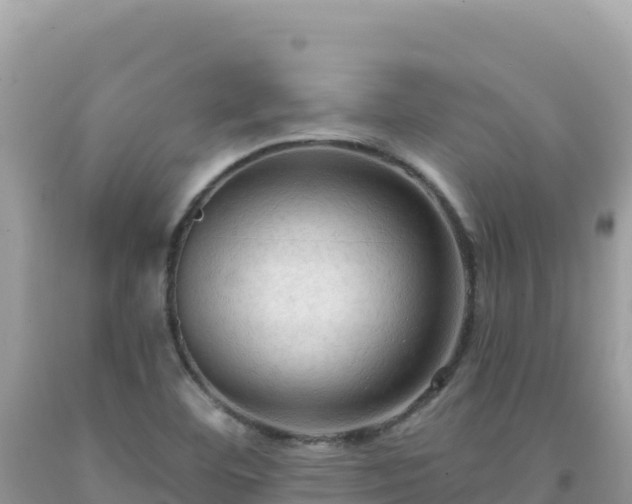 X0000092031460200709131609