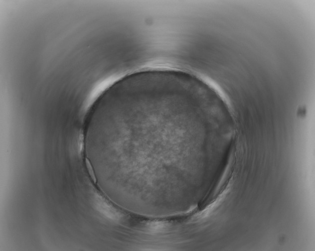 X0000092031461200709131609