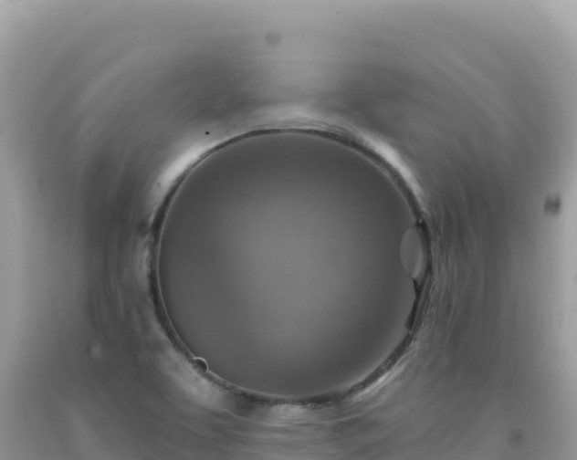X0000092031463200709131609