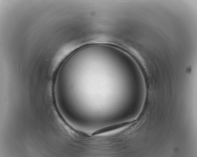 X0000092031464200709131609