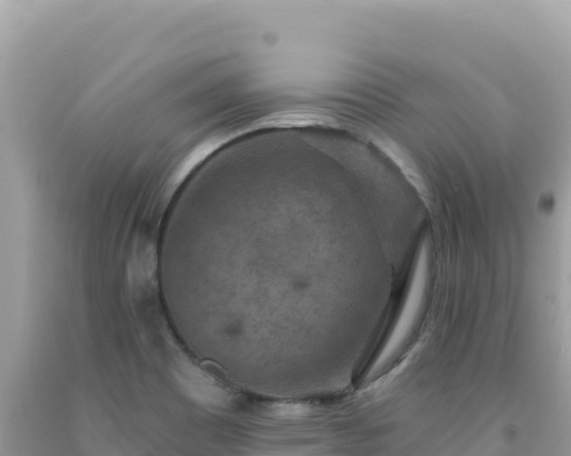 X0000092031465200709131609