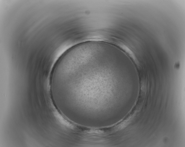 X0000092031466200709131609