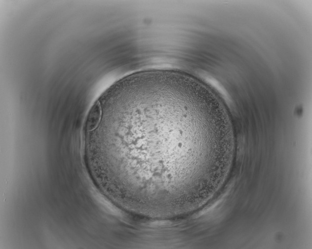 X0000092031467200709131609