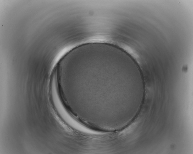 X0000092031469200709131609