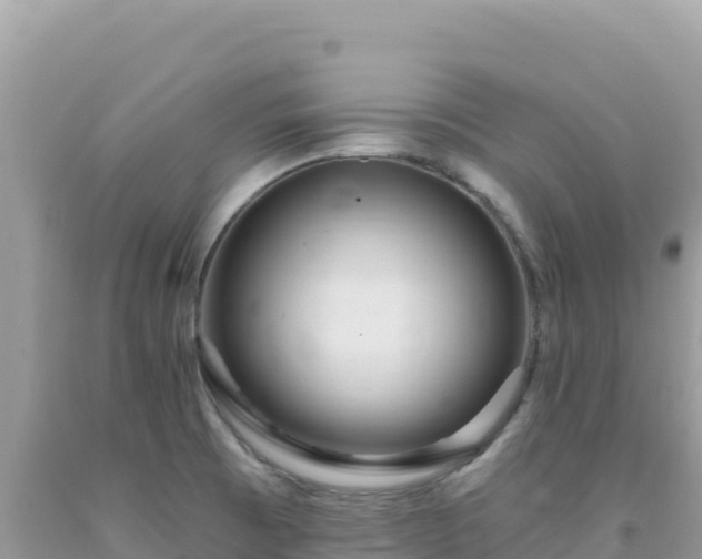 X0000092031473200709131609
