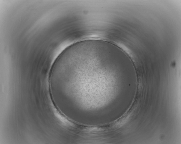 X0000092031474200709131609
