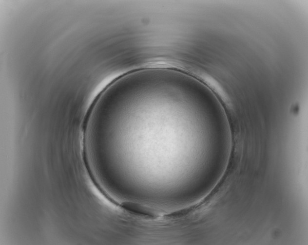 X0000092031476200709131609
