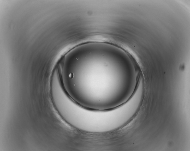 X0000092031477200709131609