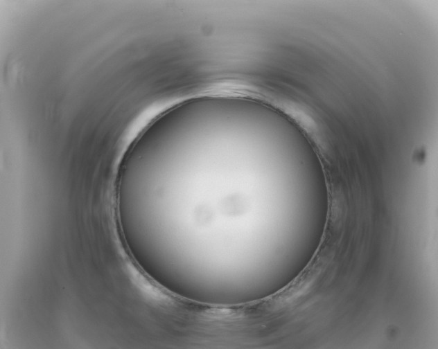 X0000092031478200709131609