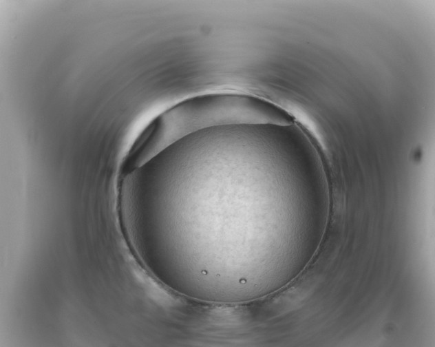 X0000092031480200709131609