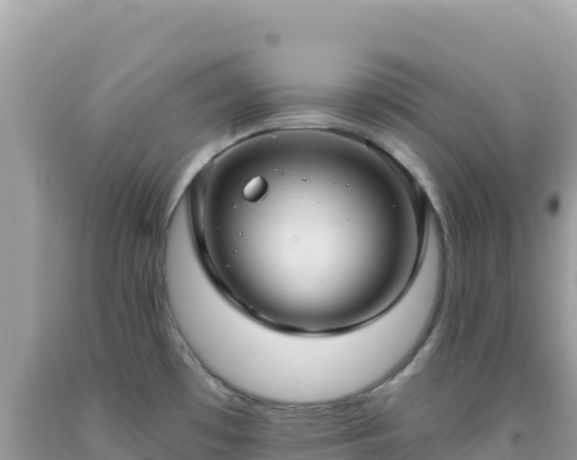 X0000092031481200709131609