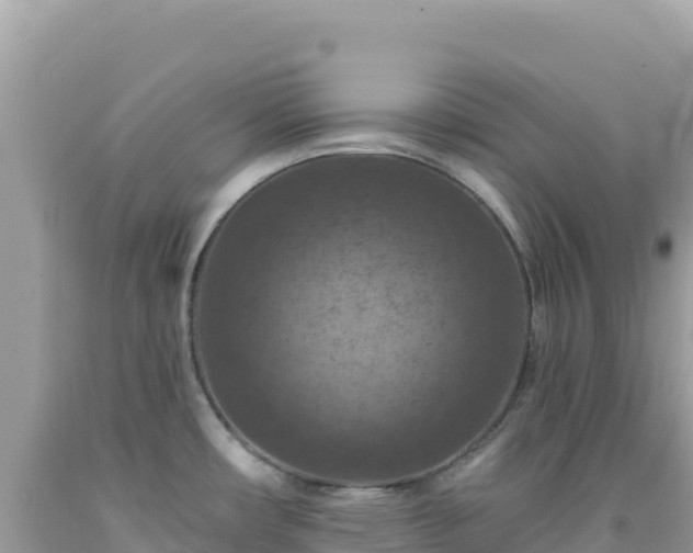 X0000092031482200709131609