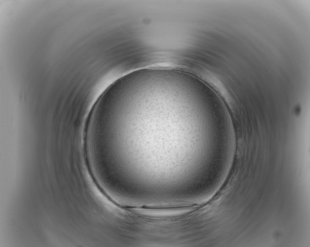 X0000092031483200709131608