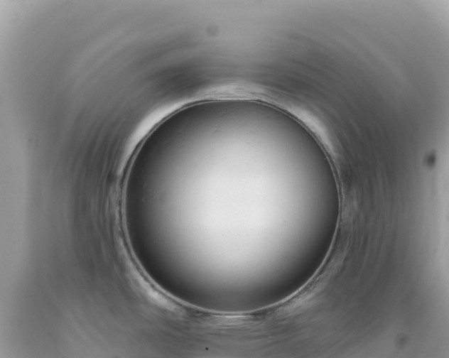 X0000092031486200709131608