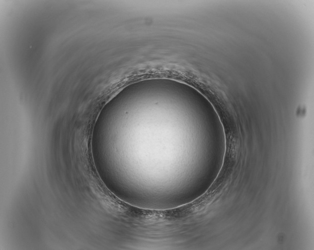 X0000092031489200709131608
