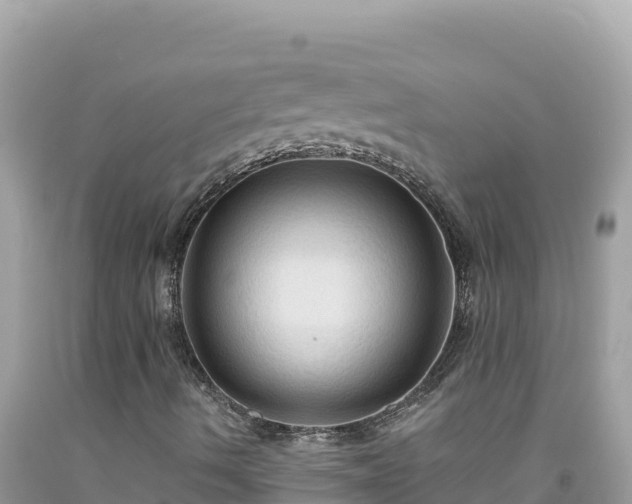 X0000092031490200709131608