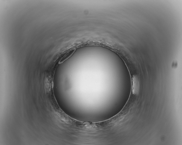 X0000092031491200709131608