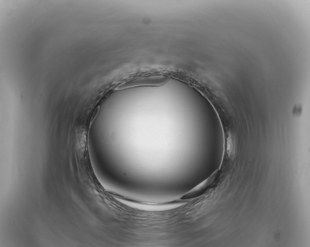X0000092031492200709131608