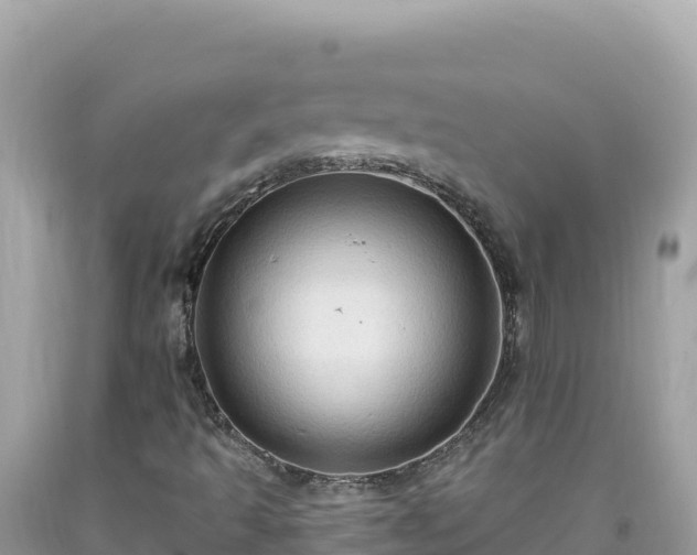 X0000092031493200709131608