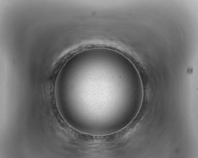 X0000092031494200709131608