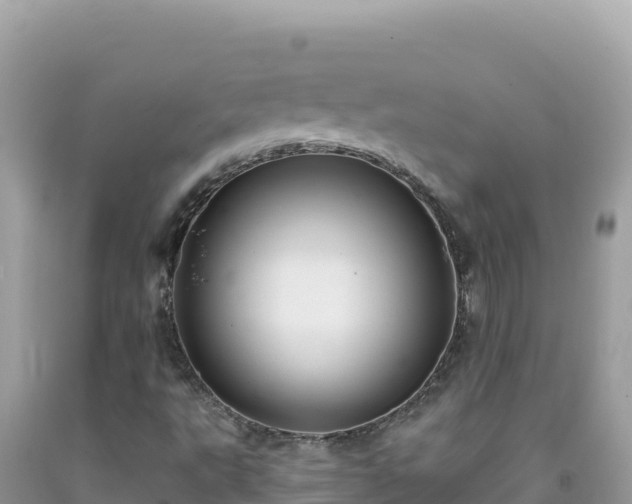 X0000092031495200709131608