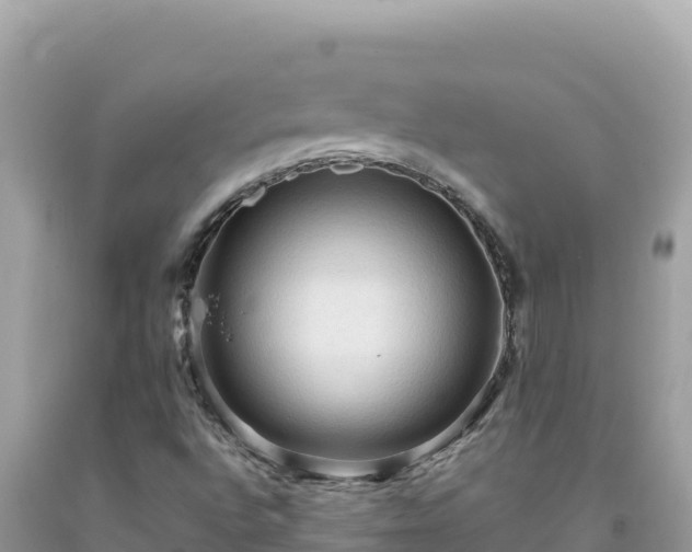 X0000092031496200709131608